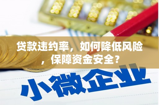 黑龙江贷款违约率，如何降低风险，保障资金安全？