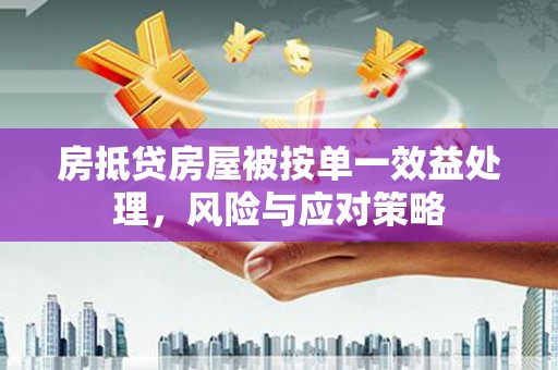 前镇房抵贷房屋被按单一效益处理，风险与应对策略