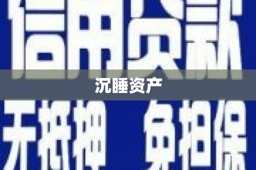西岗沉睡资产