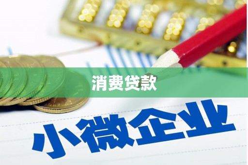 龙安消费贷款
