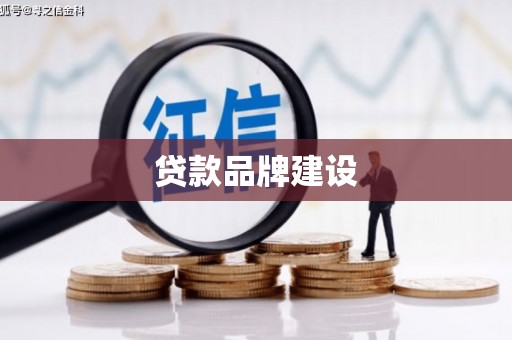 安泽贷款品牌建设