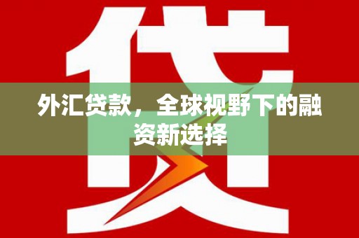 南和外汇贷款，全球视野下的融资新选择