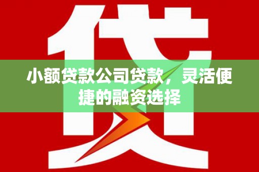 沙县小额贷款公司贷款，灵活便捷的融资选择
