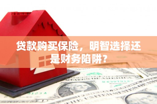 龙泉贷款购买保险，明智选择还是财务陷阱？