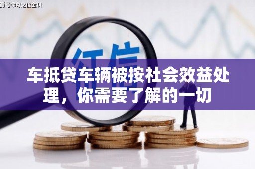 白水车抵贷车辆被按社会效益处理，你需要了解的一切