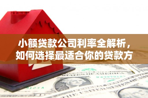 佳冬小额贷款公司利率全解析，如何选择最适合你的贷款方案？