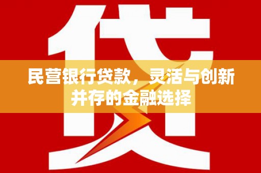 永靖民营银行贷款，灵活与创新并存的金融选择