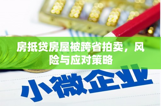 观音房抵贷房屋被跨省拍卖，风险与应对策略