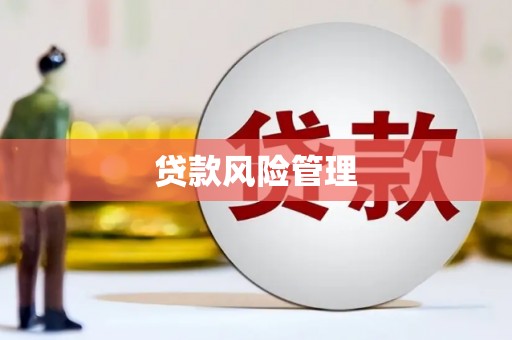 舟山新区贷款风险管理