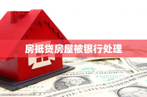 南市房抵贷房屋被银行处理
