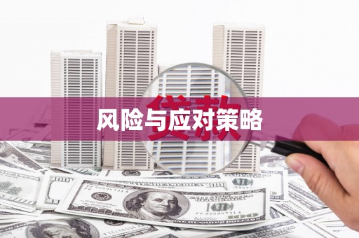 连南风险与应对策略