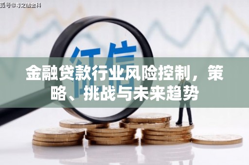 梁平金融贷款行业风险控制，策略、挑战与未来趋势