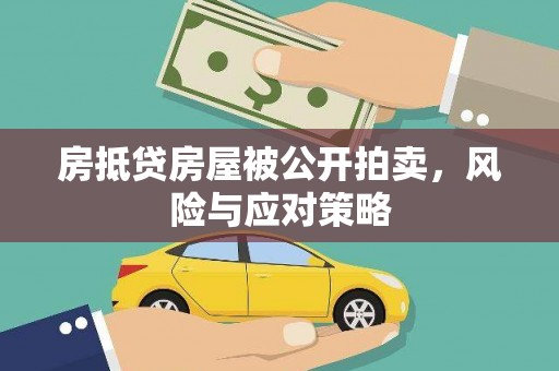 大名房抵贷房屋被公开拍卖，风险与应对策略