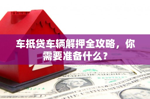 雨花车抵贷车辆解押全攻略，你需要准备什么？