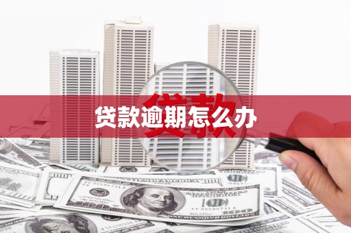 火炬贷款逾期怎么办