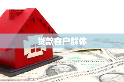 舟曲贷款客户群体