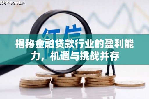 甘德揭秘金融贷款行业的盈利能力，机遇与挑战并存