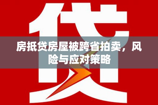 武定房抵贷房屋被跨省拍卖，风险与应对策略