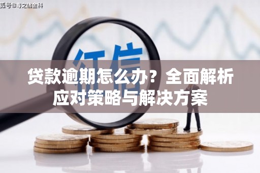 平度贷款逾期怎么办？全面解析应对策略与解决方案