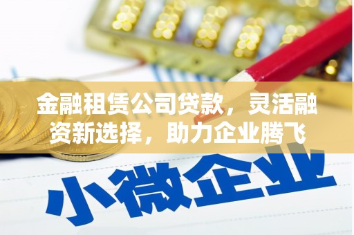 东洲金融租赁公司贷款，灵活融资新选择，助力企业腾飞