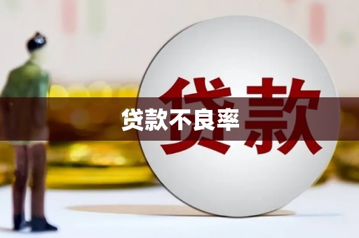 河池贷款不良率