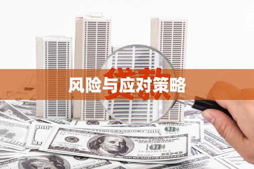 涞源风险与应对策略