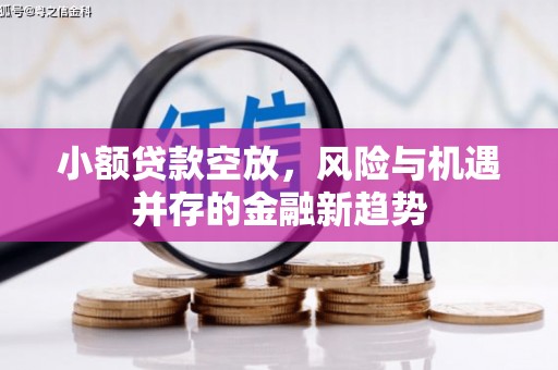 新平小额贷款空放，风险与机遇并存的金融新趋势