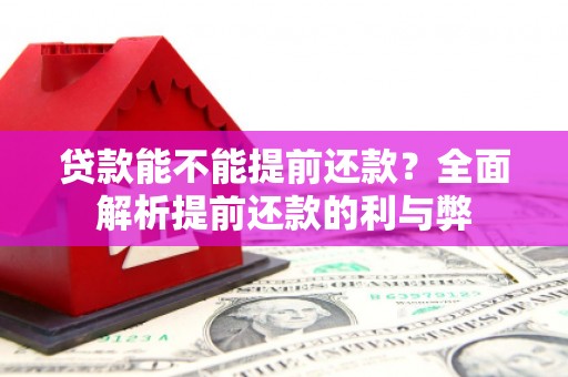 云安贷款能不能提前还款？全面解析提前还款的利与弊