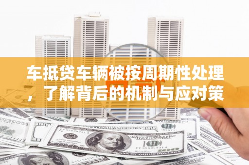 巴马车抵贷车辆被按周期性处理，了解背后的机制与应对策略