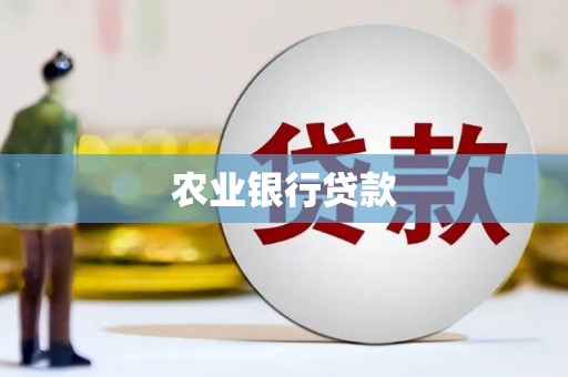 东乡族农业银行贷款