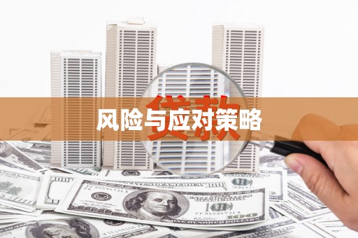 宾县风险与应对策略