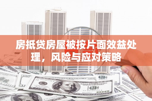 贡山房抵贷房屋被按片面效益处理，风险与应对策略
