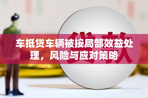 遂川车抵贷车辆被按局部效益处理，风险与应对策略