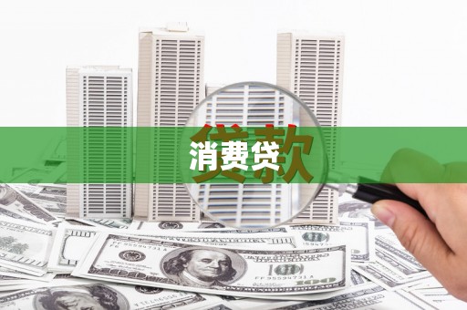 樟树消费贷