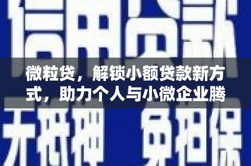 元谋微粒贷，解锁小额贷款新方式，助力个人与小微企业腾飞