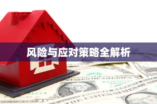 嘉陵风险与应对策略全解析