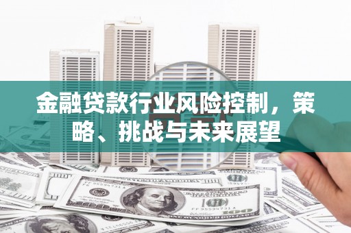 嘉陵金融贷款行业风险控制，策略、挑战与未来展望