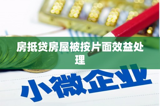 红河县房抵贷房屋被按片面效益处理