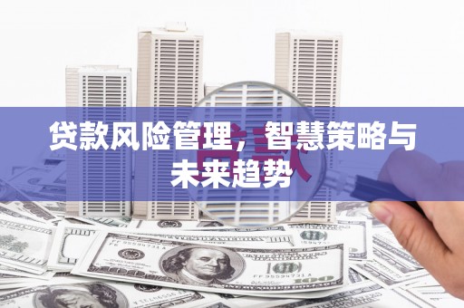 镇坪贷款风险管理，智慧策略与未来趋势