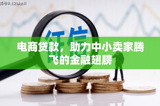 道外电商贷款，助力中小卖家腾飞的金融翅膀