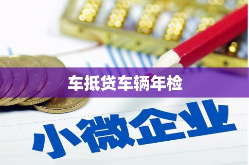 尖扎车抵贷车辆年检