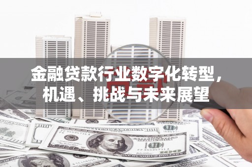 宜都金融贷款行业数字化转型，机遇、挑战与未来展望