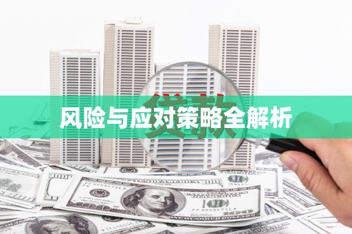 繁昌风险与应对策略全解析