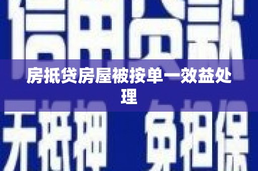 平邑房抵贷房屋被按单一效益处理