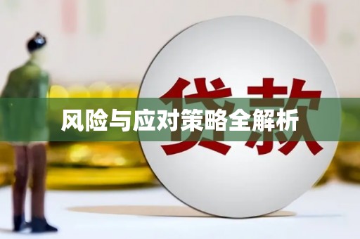 玉龙风险与应对策略全解析