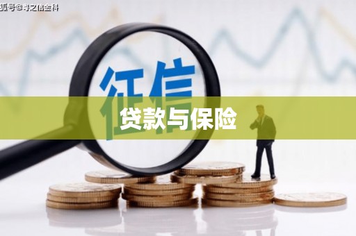 嘉模堂区贷款与保险