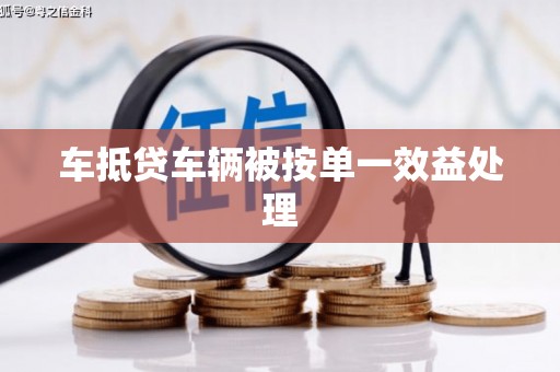广元车抵贷车辆被按单一效益处理