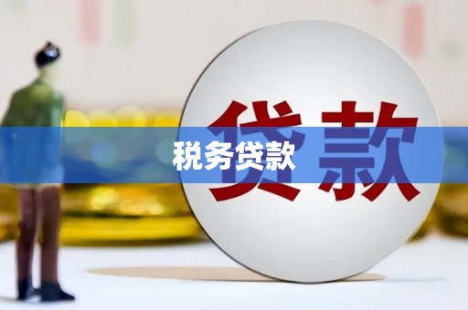西林税务贷款