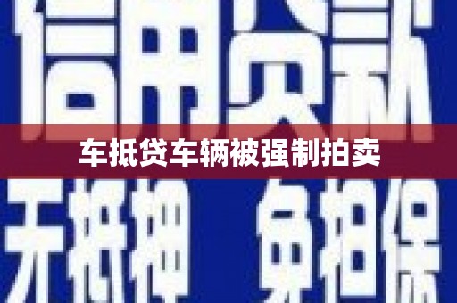 泰和车抵贷车辆被强制拍卖