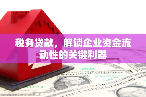 大岭山税务贷款，解锁企业资金流动性的关键利器